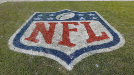 The NFL logo shield is painted on the playing field in the end zone during an NFL football game