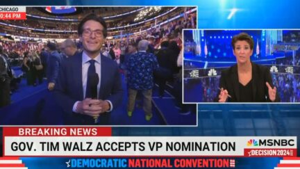 Rachel Maddow Says MSNBC Hosts Stood Up and Cheered for Tim Walz