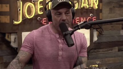 joe rogan