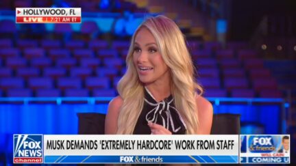 Tomi Lahren gives hilariously wrong take