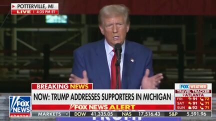 Donald Trump in Michigan