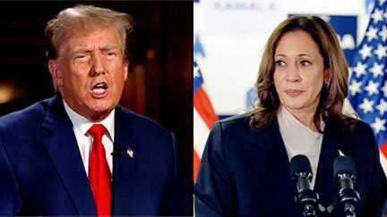 Trump Rages In Dead Of Night With Falsehood-Riddled Attacks On Kamala Harris And Media Coverage Of Bombshell Switch