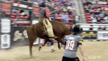 UNLV football coach Barry Odom rides a bull