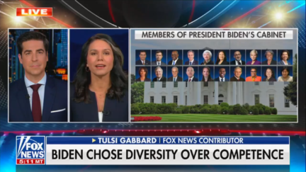 Jesse Watters and Tulsi Gabbard